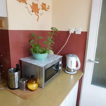 Dom Wakacyjny Lubien Ferienhaus Zarebki